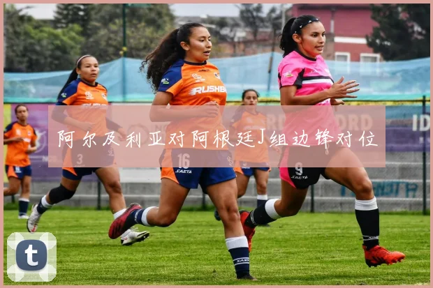 阿尔及利亚对阿根廷J组边锋对位