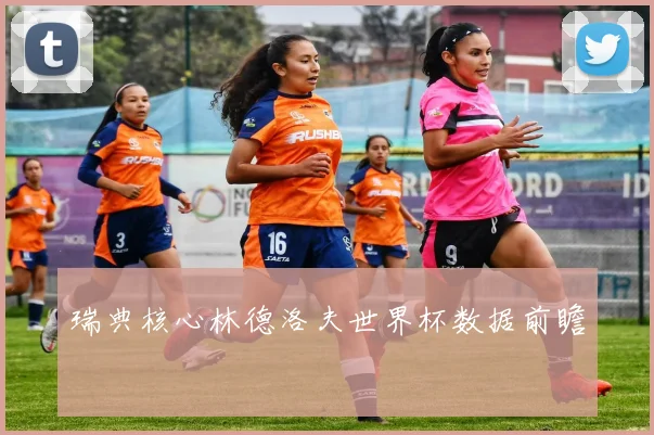瑞典核心林德洛夫世界杯数据前瞻