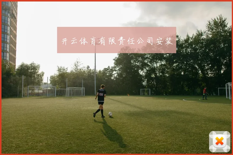 开云体育有限责任公司安装