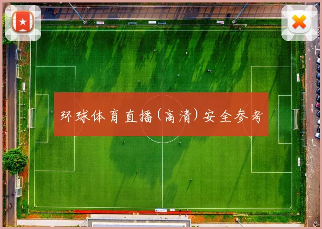 环球体育直播(高清)安全参考