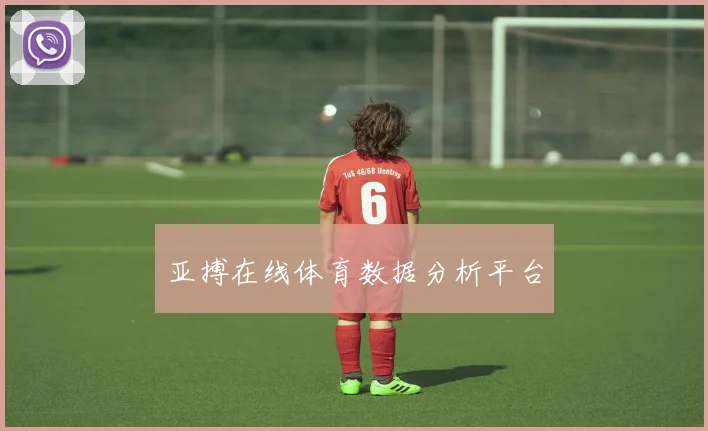 亚搏在线体育数据分析平台