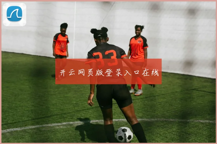 开云网页版登录入口在线