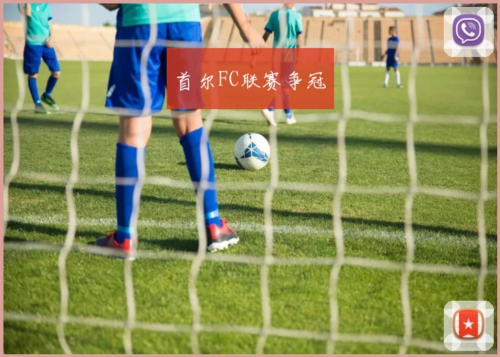 首尔FC联赛争冠