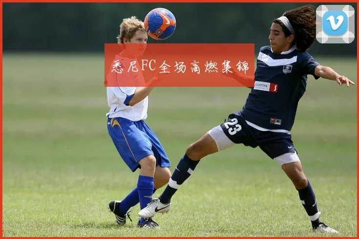 悉尼FC全场高燃集锦