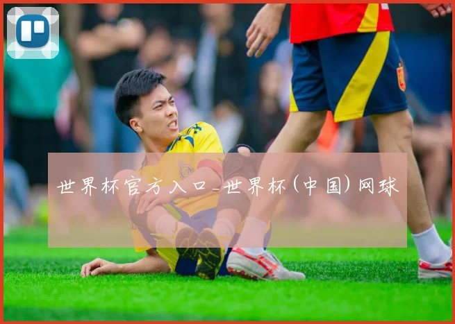 世界杯官方入口_世界杯(中国)网球