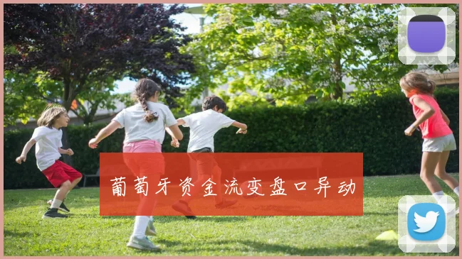 葡萄牙资金流变盘口异动