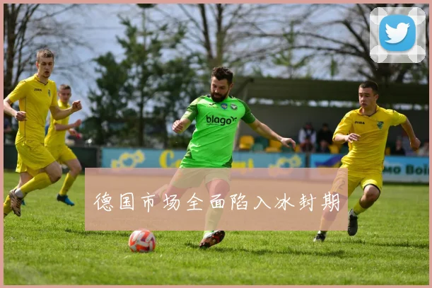 德国市场全面陷入冰封期