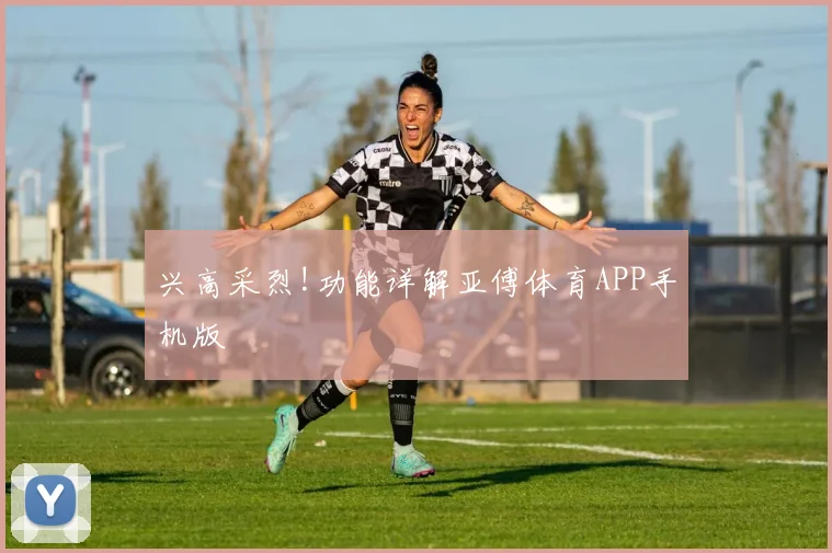 兴高采烈!功能详解亚傅体育APP手机版