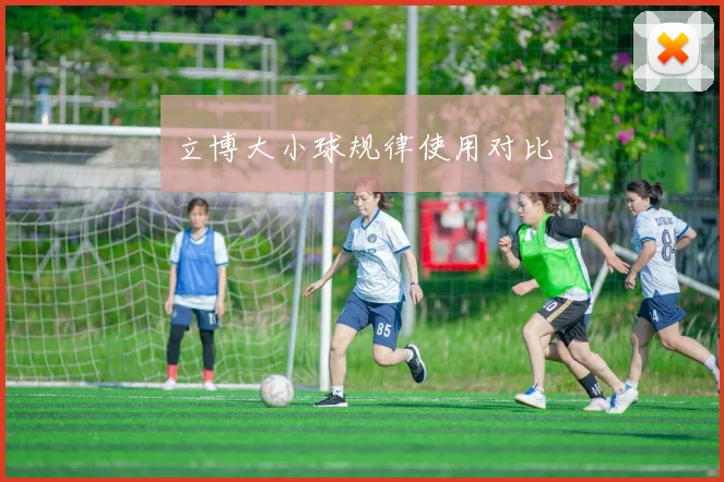 立博大小球规律使用对比