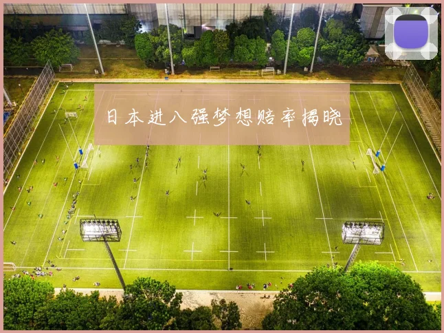 日本进八强梦想赔率揭晓