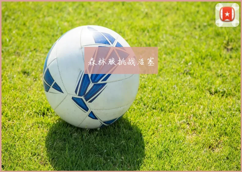 森林狼挑战活塞