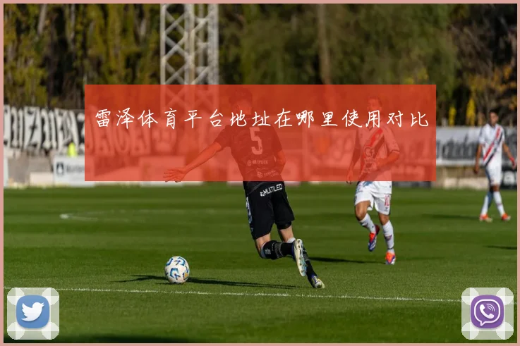 雷泽体育平台地址在哪里使用对比