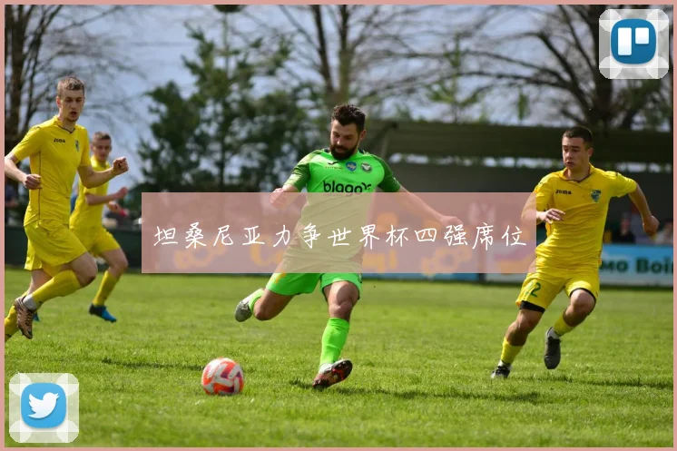 坦桑尼亚力争世界杯四强席位