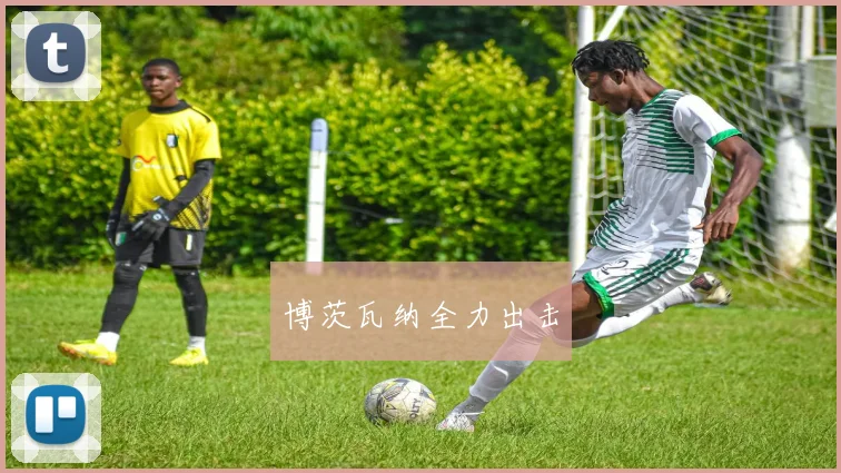博茨瓦纳全力出击