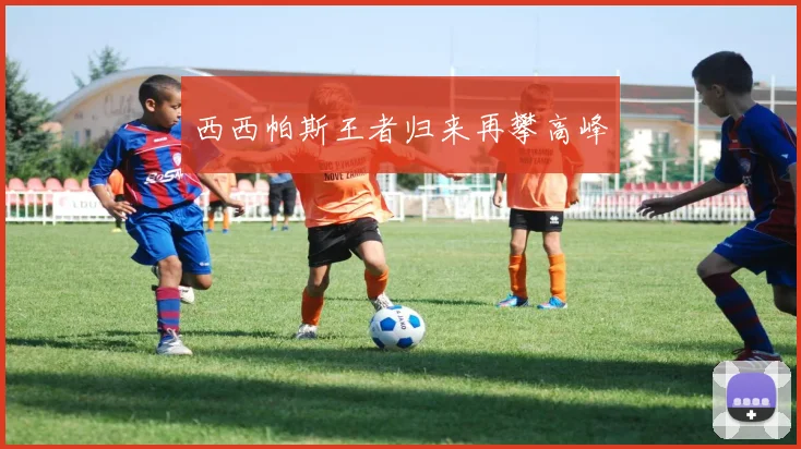 西西帕斯王者归来再攀高峰