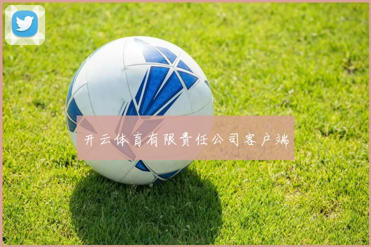 开云体育有限责任公司客户端