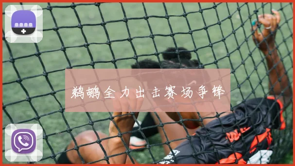 鹈鹕全力出击赛场争锋