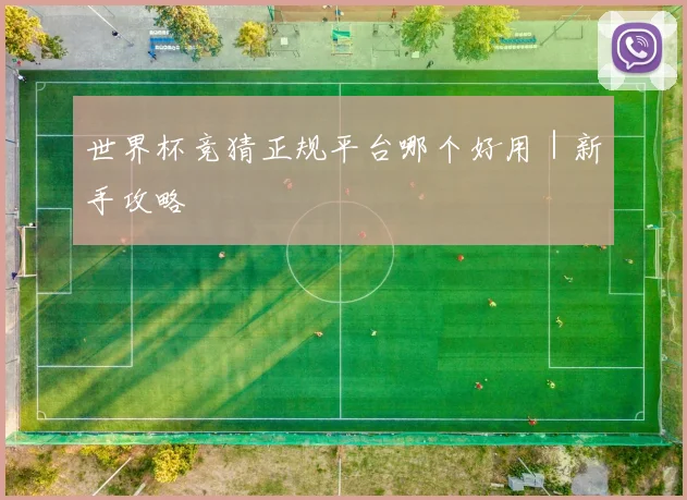 世界杯竞猜正规平台哪个好用｜新手攻略