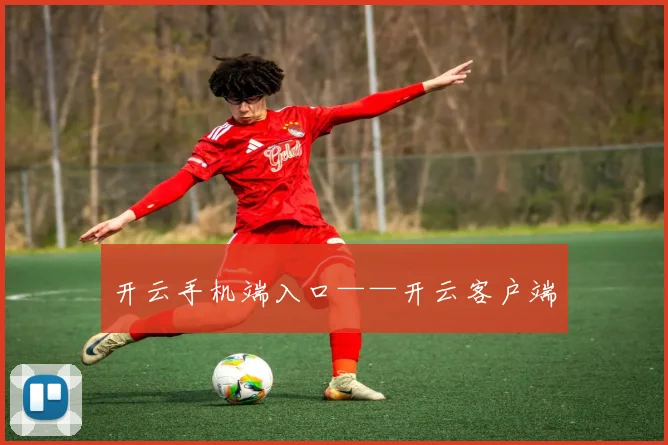 开云手机端入口——开云客户端