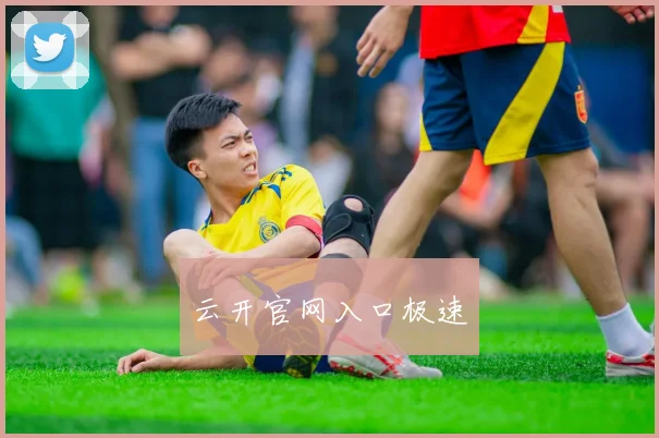 云开官网入口极速