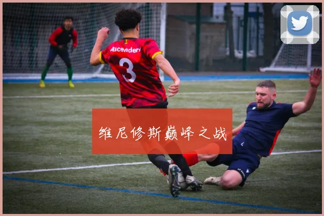 维尼修斯巅峰之战