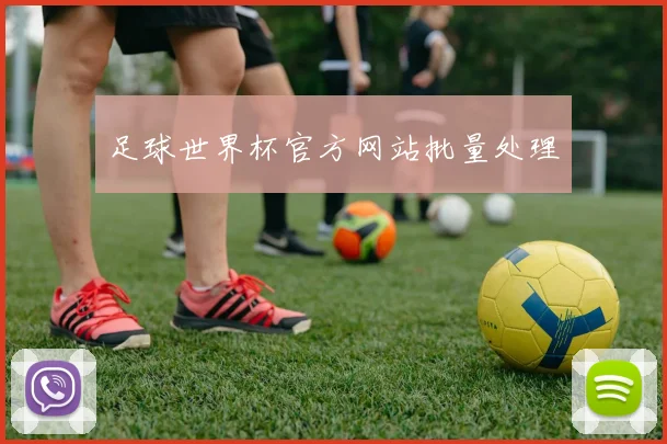 足球世界杯官方网站批量处理