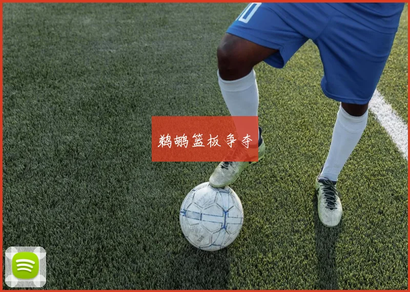 鹈鹕篮板争夺