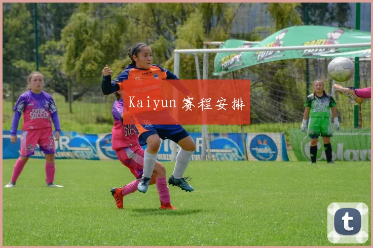 Kaiyun 赛程安排