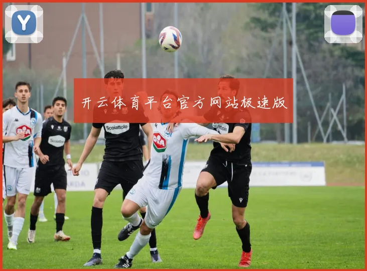 开云体育平台官方网站极速版