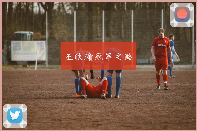 王欣瑜冠军之路
