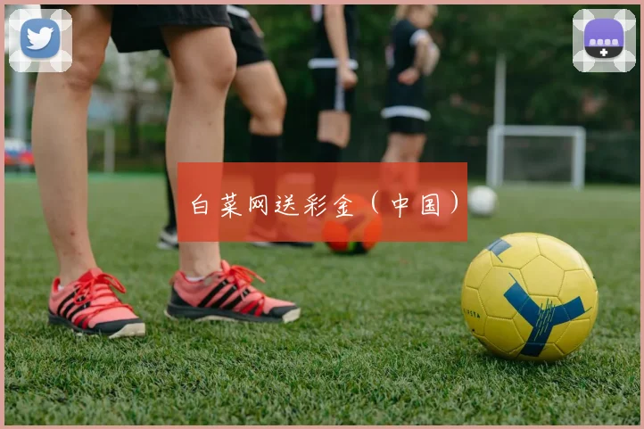 白菜网送彩金（中国）