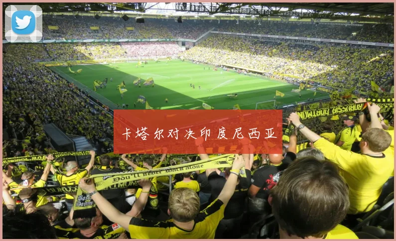卡塔尔对决印度尼西亚