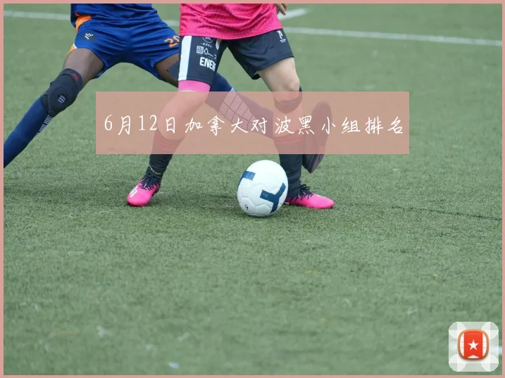 6月12日加拿大对波黑小组排名