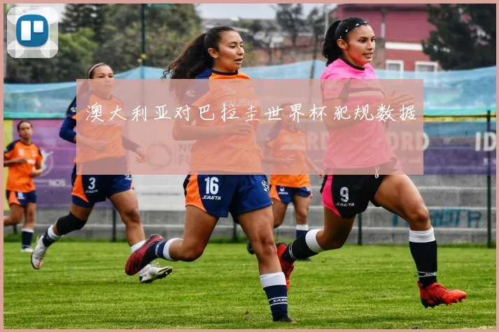澳大利亚对巴拉圭世界杯犯规数据