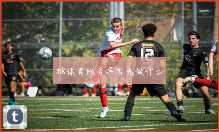 mk体育账号异常先做什么