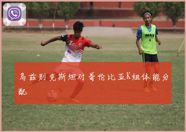 乌兹别克斯坦对哥伦比亚K组体能分配